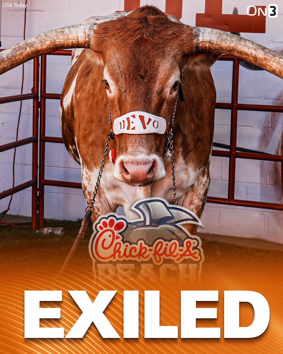 On3's tweet image. NEW: The Chick-Fil-A Peach Bowl has banned Texas mascot Bevo from attendance, they announced❌

on3.com/college/texas-…