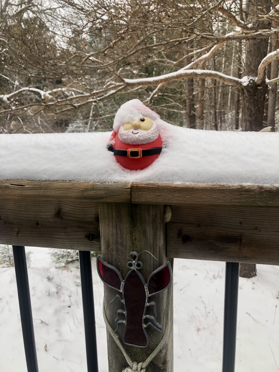 Merry Christmas / Happy Holliday to all my 🦞friends!