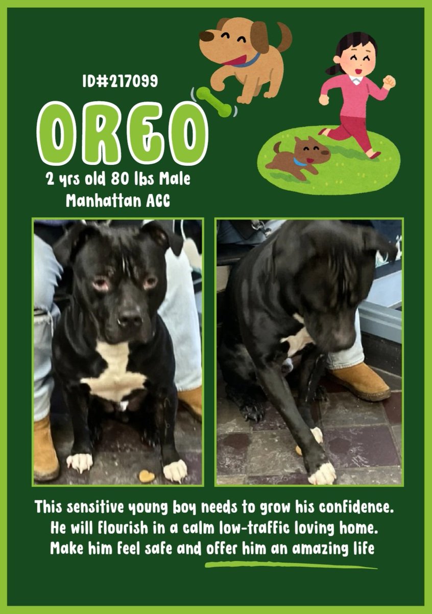 EASpenser's tweet photo. ๐ค๐คOREO, age ~2 #ImOverwhelmed๐
Both sad & hurtingโthose inflamed eyes must be unbearable w/itchiness & pain
๐ he's a #LoveBug๐โ he'll bloom & thrive w/the right #training, #reassurance, #goingslow, #SeeingThingsThroughHisEyes
https://t.co/L19joB7mF9
#Adopt #Foster #Pledge https://t.co/fdUQlQ0wrL