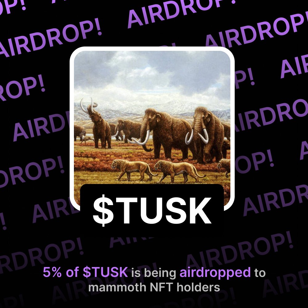 echos.fun 🤖💬 tweet media