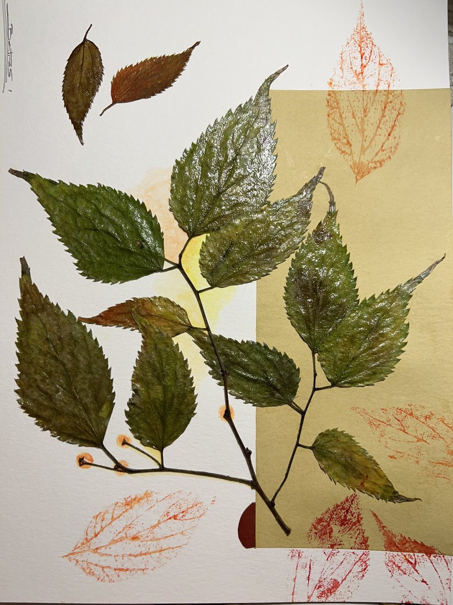 ArtNuria's tweet photo. I'm working on collages with leaves, like decorative sheets. Ideal for gifts! If you are interested in buying any, please DM me 🍃!! https://t.co/j4YhpcwTcP