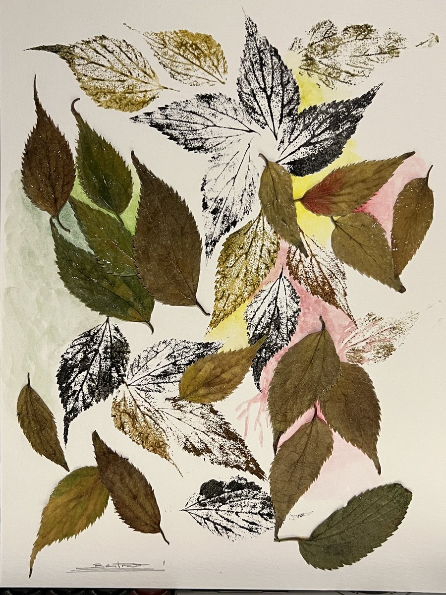 ArtNuria's tweet photo. I'm working on collages with leaves, like decorative sheets. Ideal for gifts! If you are interested in buying any, please DM me 🍃!! https://t.co/j4YhpcwTcP