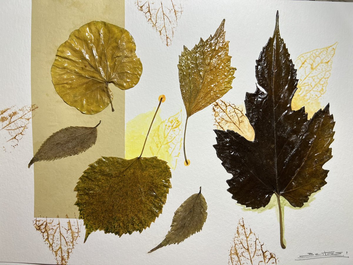 ArtNuria's tweet photo. I'm working on collages with leaves, like decorative sheets. Ideal for gifts! If you are interested in buying any, please DM me 🍃!! https://t.co/j4YhpcwTcP