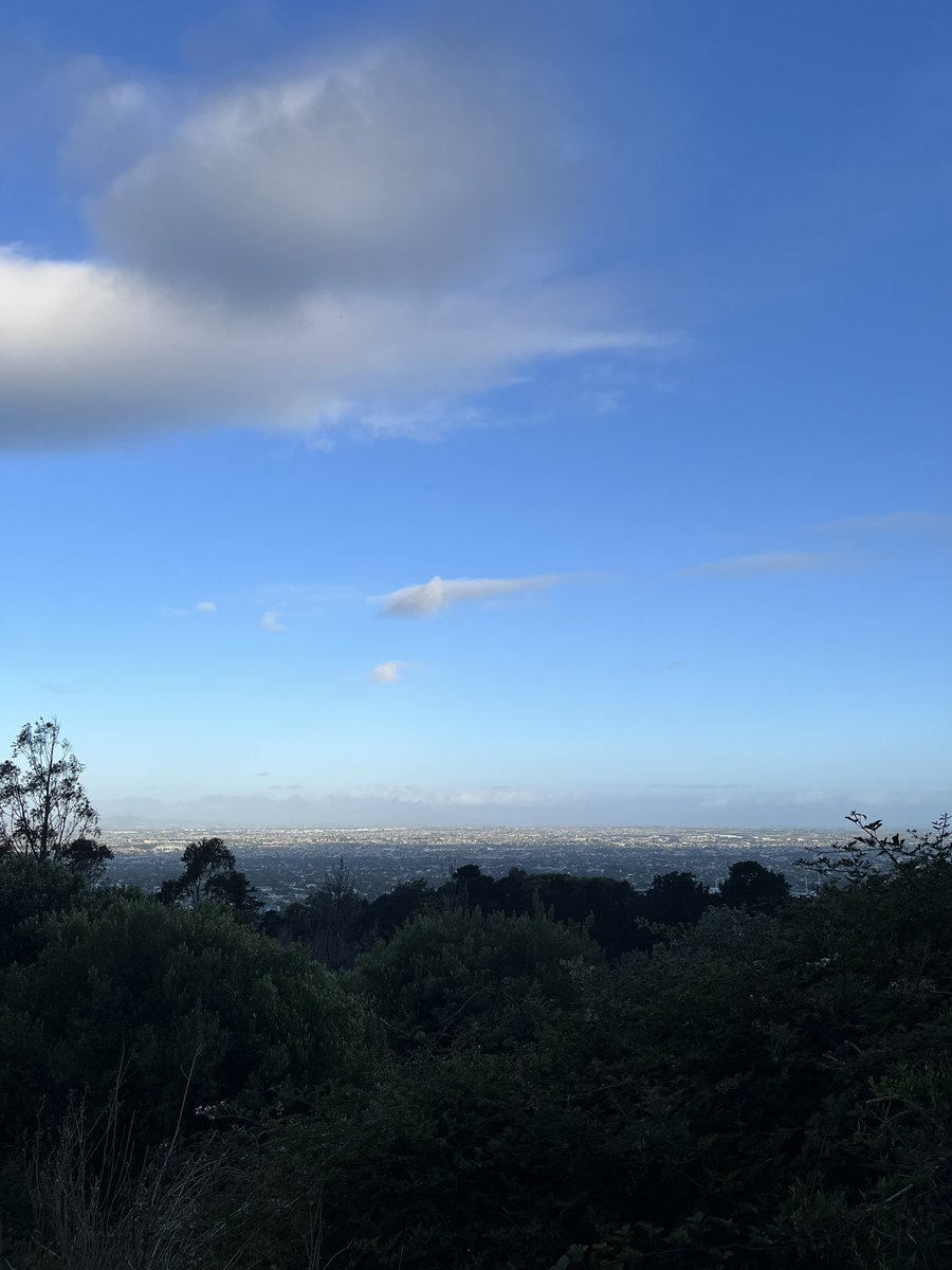 Nicholas Wright tweet media