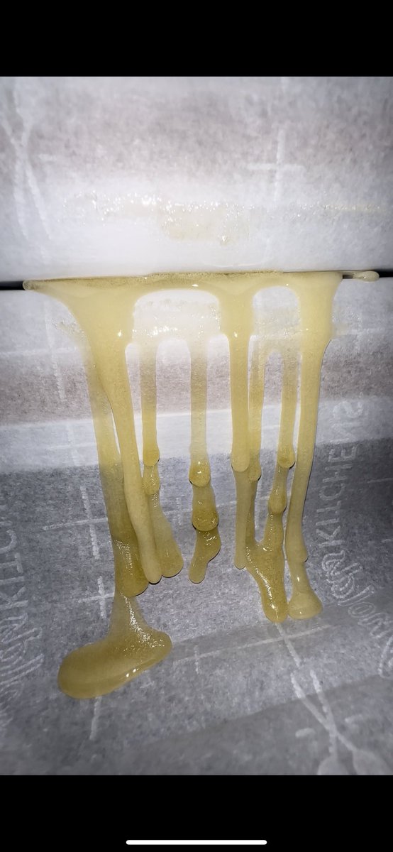 Straw gelatti (raskel berries x gelatto 33) 

Definitely a in-house favorite. Straight ⛽️