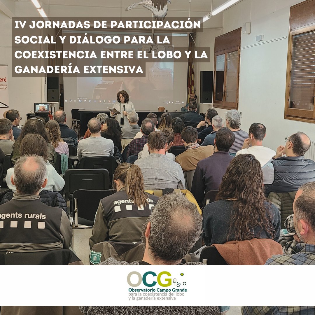 Fundación Entretantos (@entre_tantos) on Twitter photo Os contamos este evento de referencia nacional que organizamos con <a href="/ObservatorioCG/">Observatorio Campo Grande</a> donde se aborda el conflicto entre la #ganaderíaextensiva y el #lobo desde una perspectiva de diálogo y consenso entre todos los actores implicados.
👉Más en nuestra web: entretantos.org/iv-jornadas-de… Os contamos este evento de referencia nacional que organizamos con <a href="/ObservatorioCG/">Observatorio Campo Grande</a> donde se aborda el conflicto entre la #ganaderíaextensiva y el #lobo desde una perspectiva de diálogo y consenso entre todos los actores implicados.
👉Más en nuestra web: entretantos.org/iv-jornadas-de…