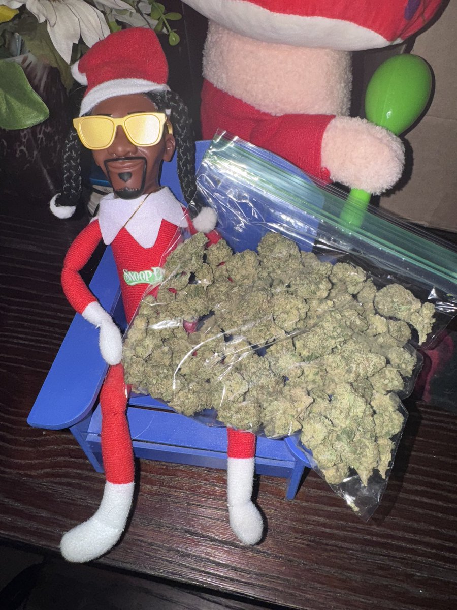 Plug gave me an early present