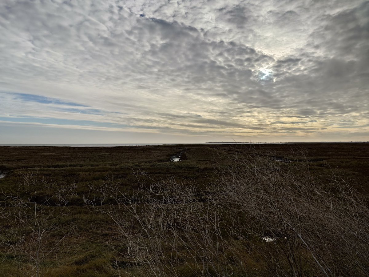 CraftyCornfield's tweet image. Today marks the end of a series of circular walks I've been doing with my friend to complete over an 80 mile route. We've walked that, and a lot more in a year and half. 

Now it's time to go triggin'! 

#nature #walking #osmaps