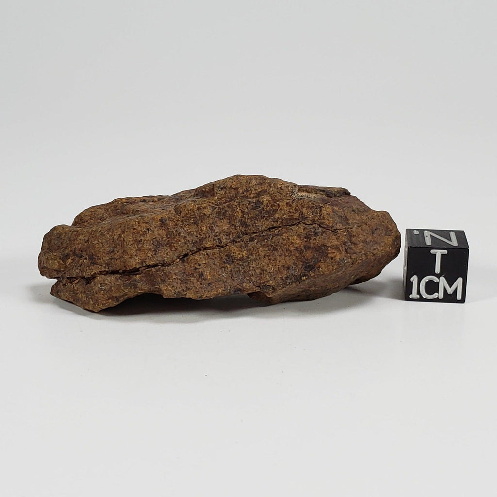 CanagemDotCom's tweet photo. 📢 PRESENTING our Deal of the week

🏷 25% OFF >>>Northwest Africa NWA Meteorite | 41.6 Grams | Individual Fragment | Sahara 🏷

Valid this week only!

Grab it now 👉https://t.co/oGivWEUaUc https://t.co/ObXfgs6kLt