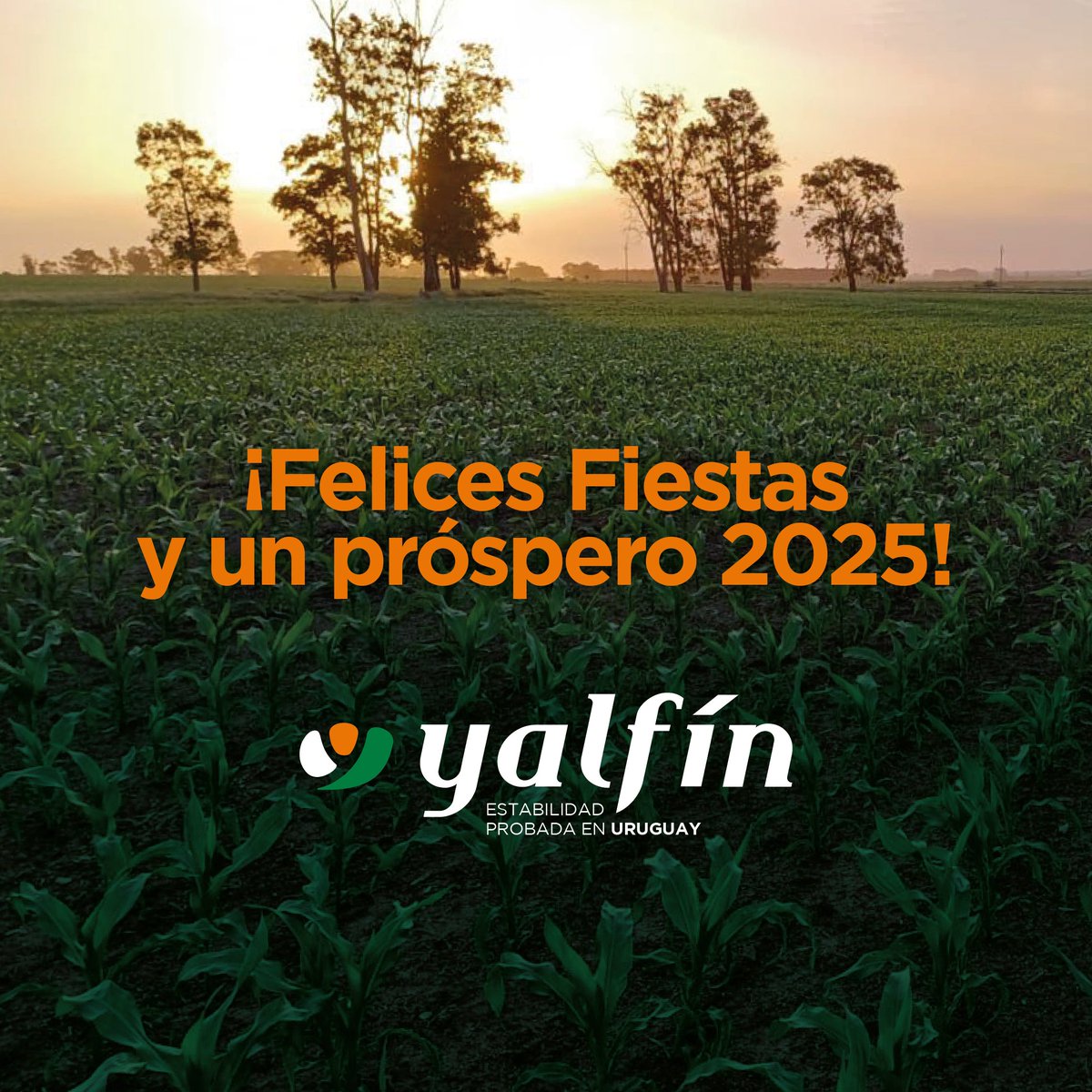 Desde Yalfín agradecemos la confianza y el compromiso de este año. Juntos seguimos sembrando futuro y cultivando éxitos.
¡Que este nuevo año esté lleno de oportunidades, crecimiento y grandes cosechas!
Brindemos por un 2025 lleno de logros. ¡Seguimos creciendo juntos!