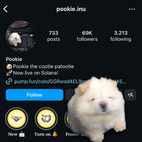 Pookie__CTO's tweet photo. Still in collaboration with the OG @pookie.inu IG page!

$POOKIE https://t.co/GcTMKTPPXu