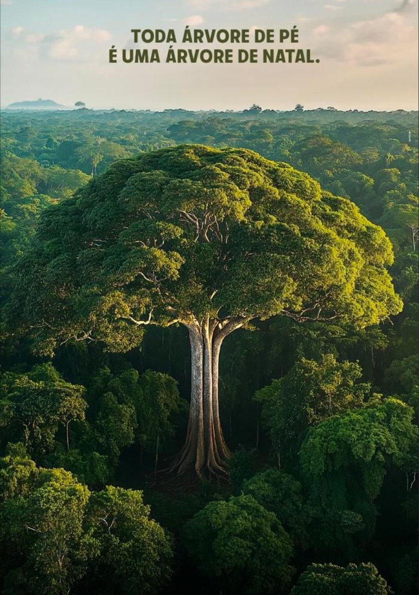 CLAP, CLAP, CLAP!  

(Sei lá quem é o criador ou a criadora. Apareça!)