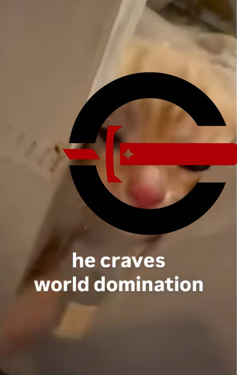 Team Cynical tweet media