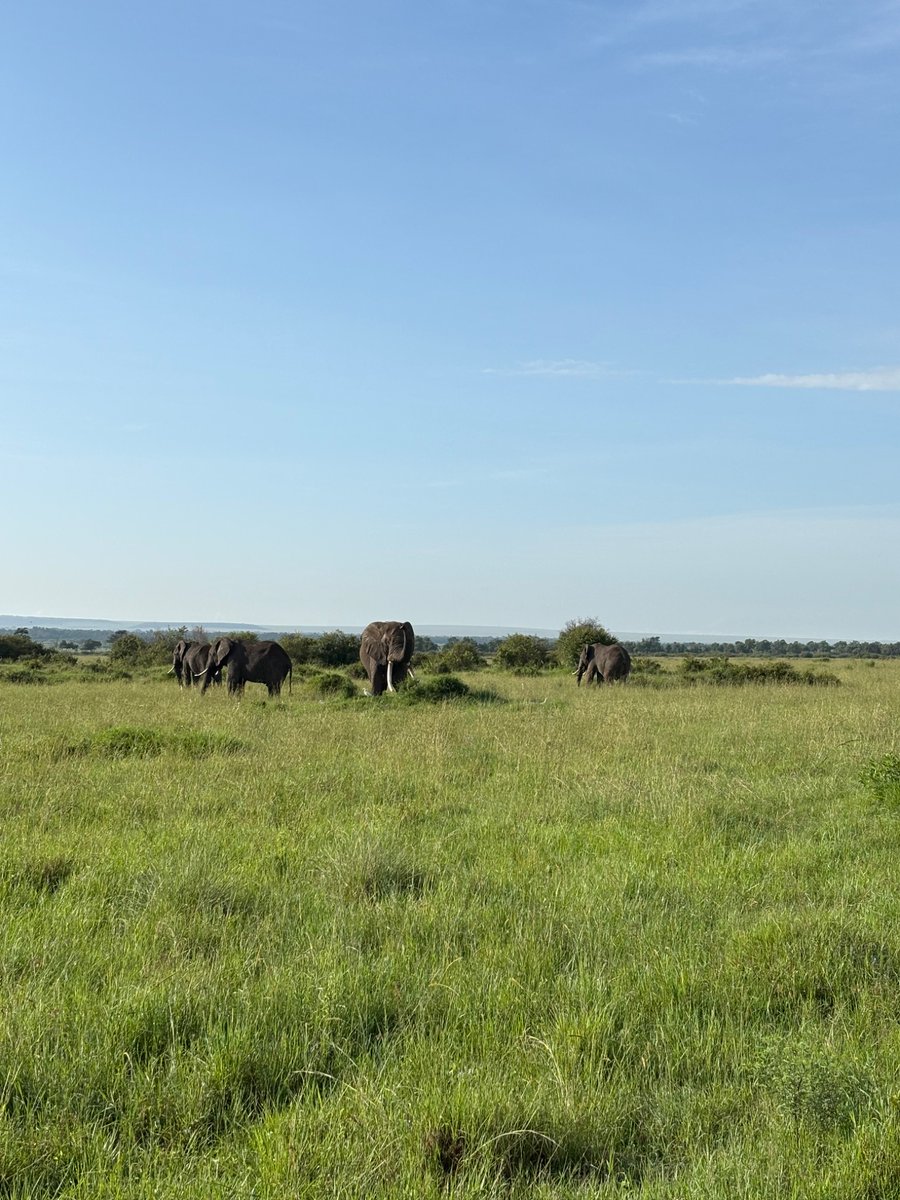 잠깐 고향에서 진짜 사파리 하는 중 ! 
다음주에 서울 돌어감
같이 놀자 ! (여자분만)
#소주 #술 같이 마시자
#친구 #비떱 #섹트 #외국인
#서울 #신림