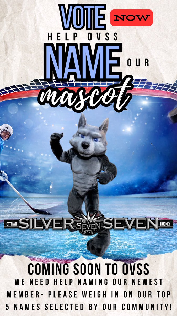 Hey OVSS! Here are the top 5 names for our Mascot! In no specific order;
-Howler
-Cross Check 
-Charge 
-Frost Bite 
-Ovie (O=Ottawa : V=Valley)
Comment Below, Like &amp; Share   
Help name this guy!