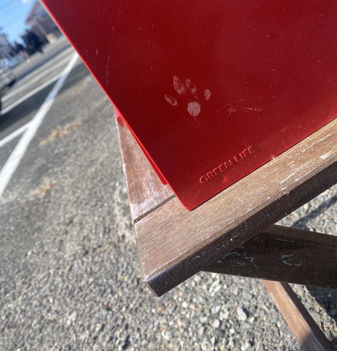 jouzobeerbase's tweet photo. ポストに猫の手かなฅ"
#猫 https://t.co/dMbPizn238