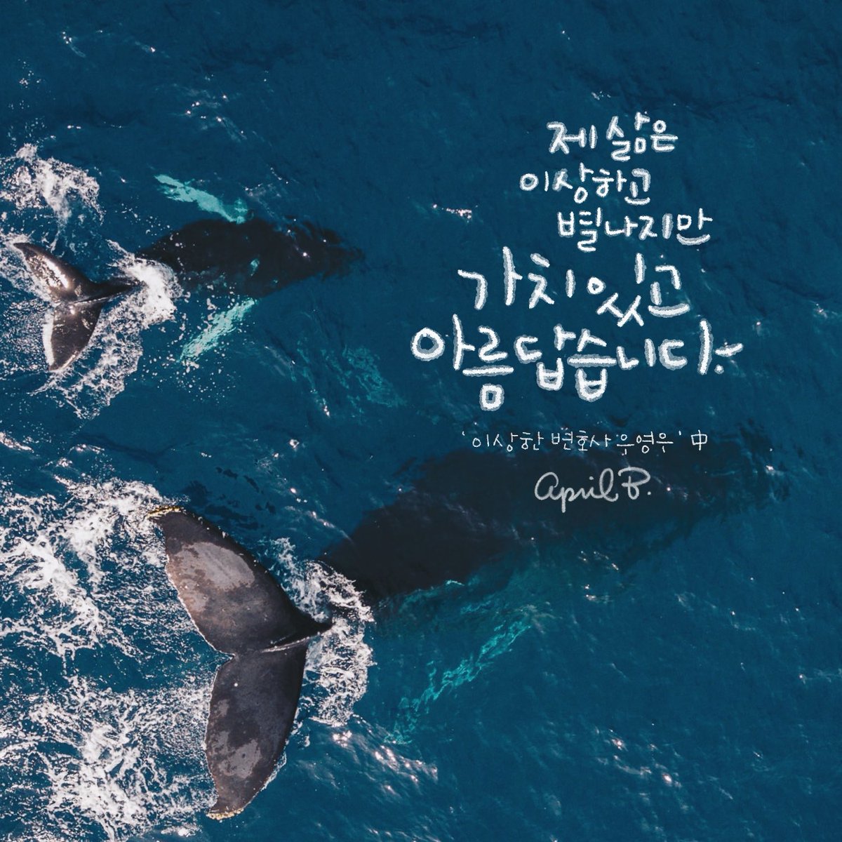 AB_KONG🍳🌸🐞 tweet media