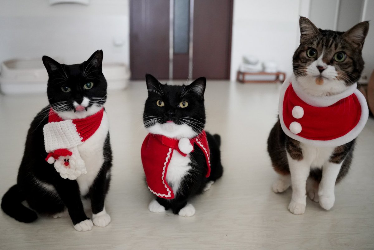 Merry Christmas!
