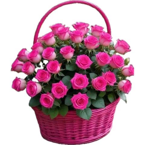 _B1313's tweet photo. صباح البرد 🥶

 #صباح_الاجواء_الحلوه https://t.co/x87Z2PyV3G