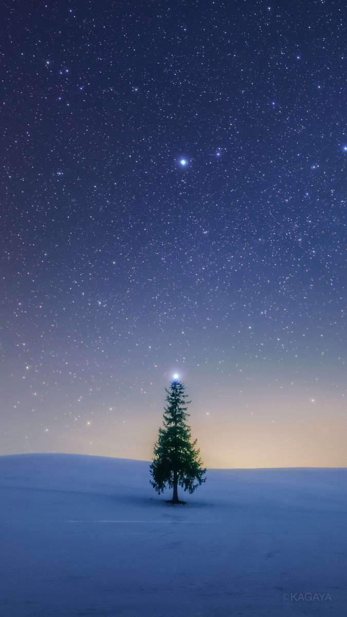 満天の星のもと、シリウスがともる自然のクリスマスツリー。
クリスマスの壁紙にお使いください。
（以前、北海道にて撮影。スマートフォン用です。加工したり他の人に配布したりはしないでくださいね。リポストはうれしいです）
みなさま、メリークリスマス!
