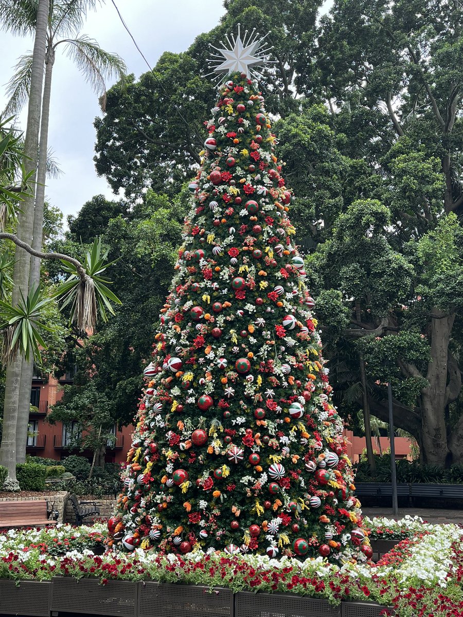 Michael Reander tweet media