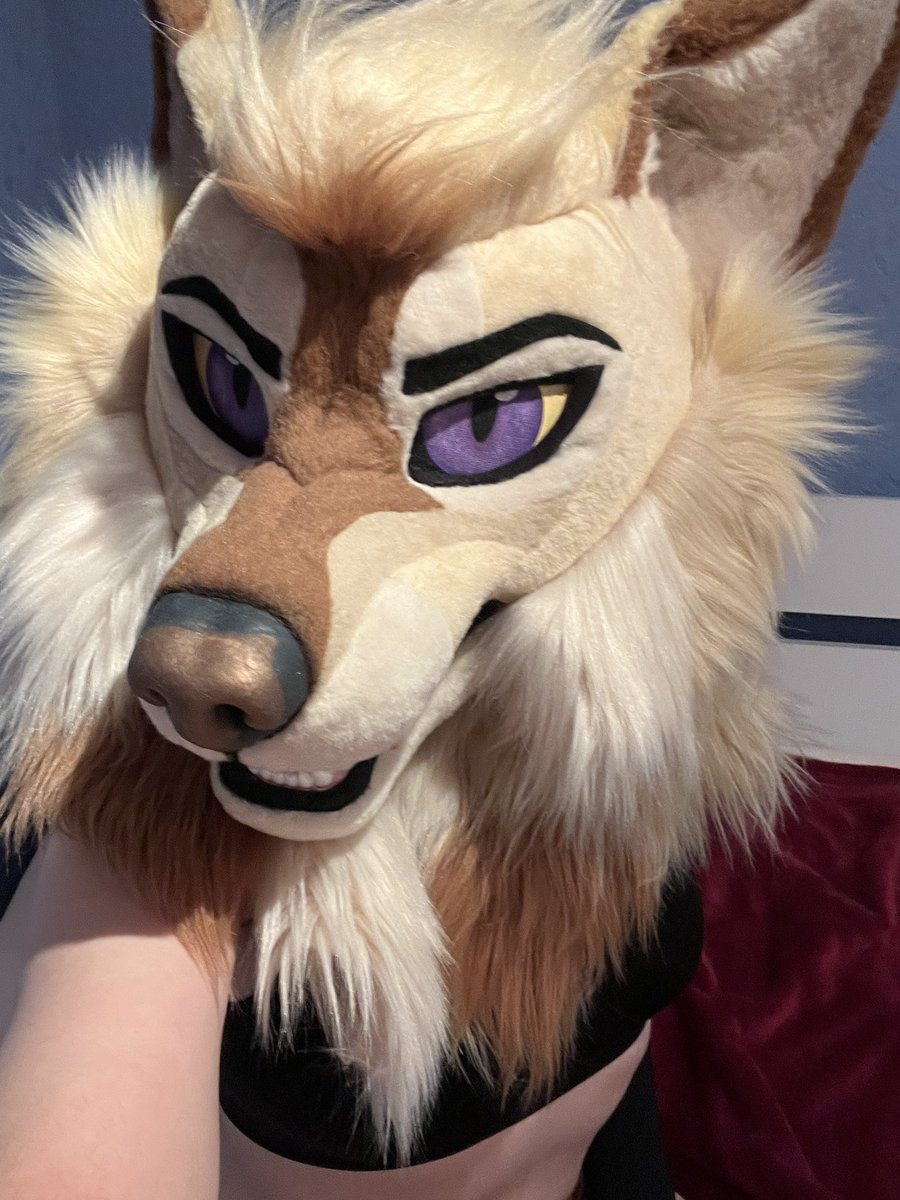 Werikane | Khalu𝑟𝑎 🍂 tweet media