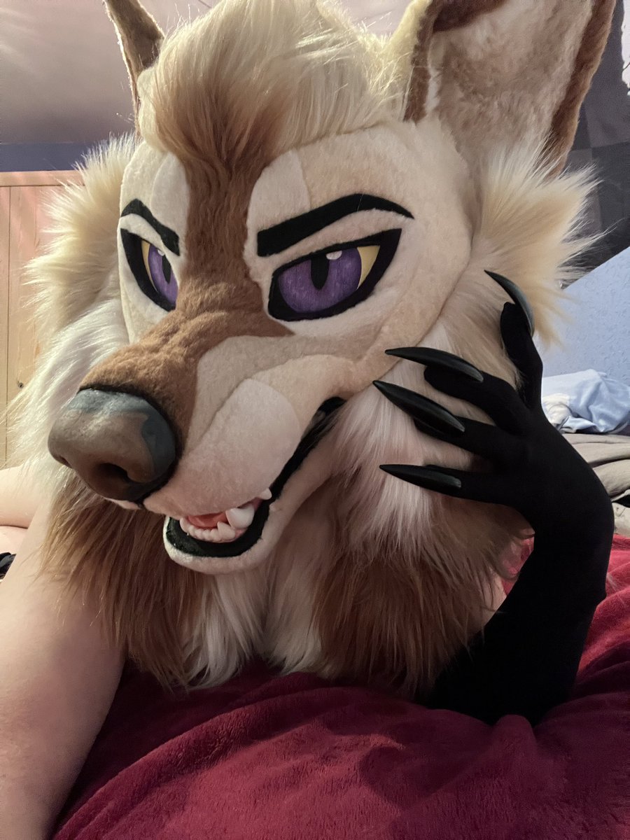 Werikane | Khalu𝑟𝑎 🍂 tweet media