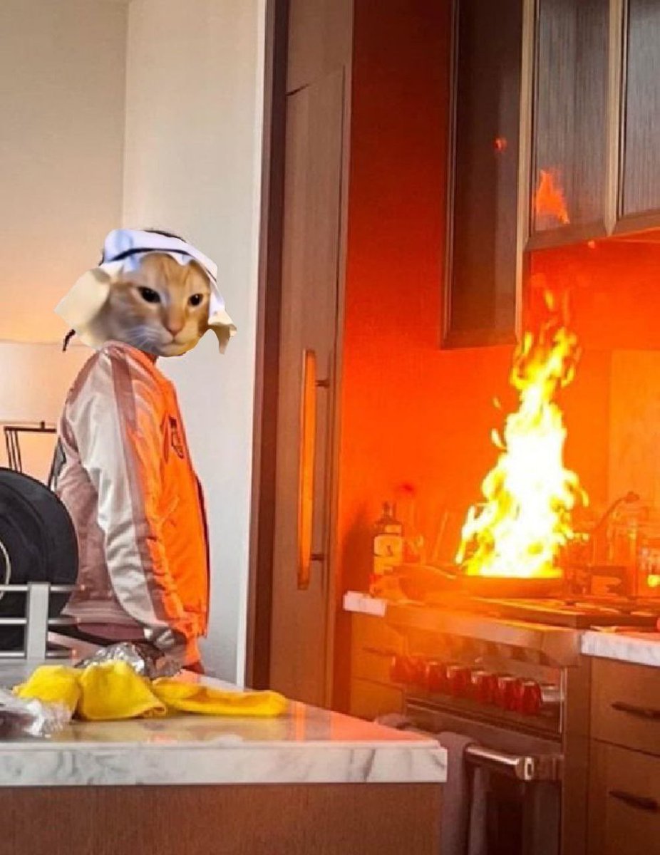 arab cat tweet media