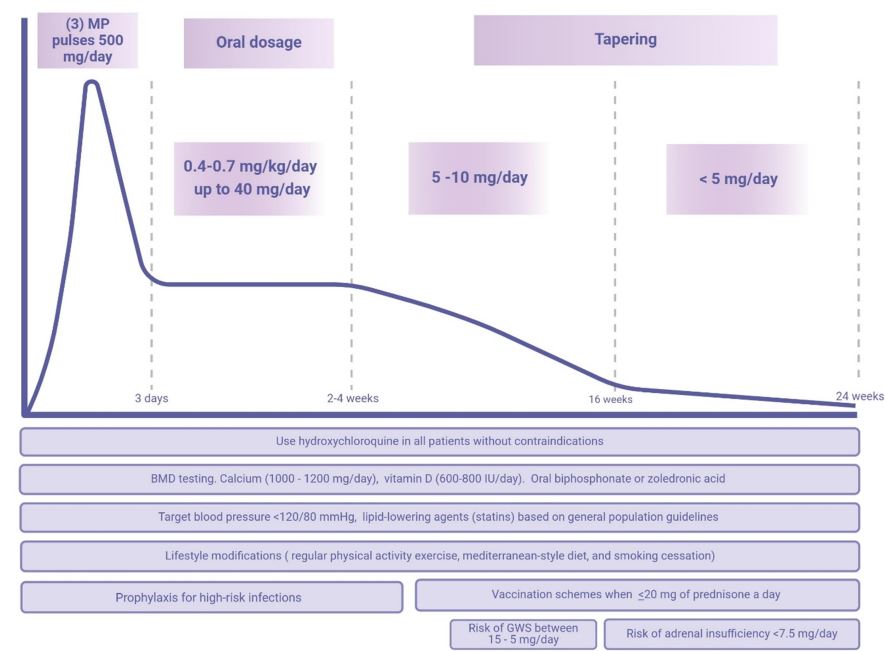 Now online in <a href="/NDTsocial/">NDT</a>

Optimal Glucocorticoid Therapy in Lupus Nephritis 

🧐The review examines different dosing strategies, including IV pulse and oral regimens, and presents evidence of their efficacy and safety.

▶️academic.oup.com/ndt/article-ab…
