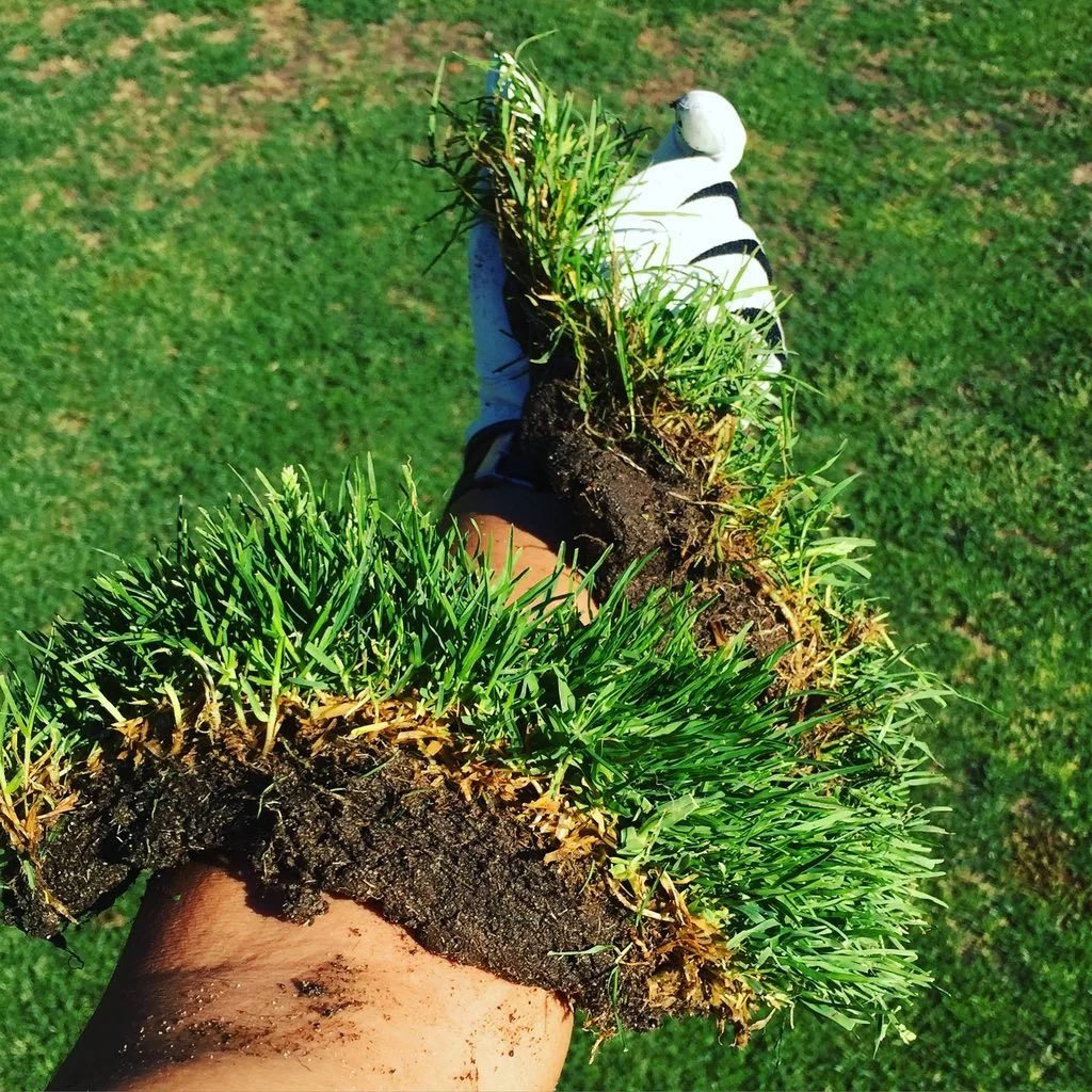 TheReportsorg's tweet photo. Pat “Beaver Pelt” Kane left a massive divot this past weekend in Scottsdale. 

Let’s go Pat! 

@NUCLRGOLF @PGATUOR @GolfDigest https://t.co/7lDMZLPPOC