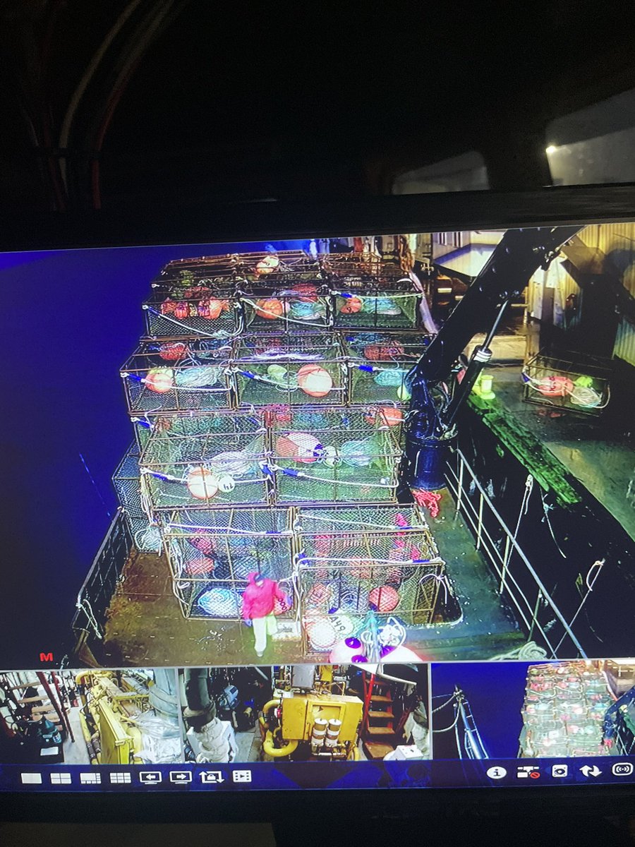 Elliott Neese tweet media