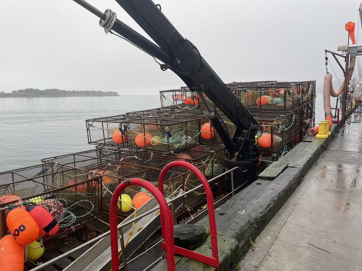 Elliott Neese tweet media