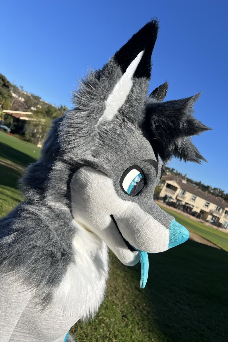 Show some love for Grits! Love how she turned out. #fursuitmaker #fursuit