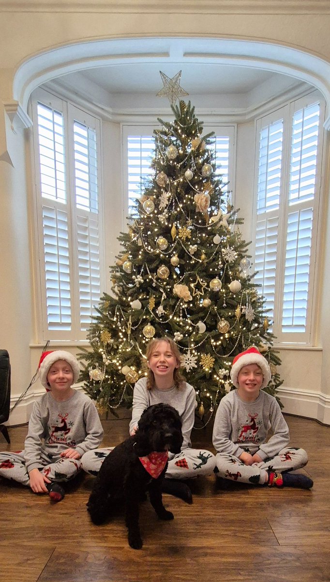 drclairesworld's tweet photo. Happy Christmas Eve Eve! 🎄✨ Just one more sleep until the boys' birthday 🎂 and two more sleeps until Santa arrives! 🎅🎁 #ChristmasEveEve #FestiveSeason #CountdownToChristmas #HeadofMedicalScience https://t.co/2Op9ruvVOK