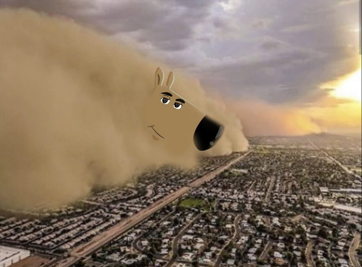 0xyoshitaka's tweet photo. chillguy storm is coming https://t.co/7Id6qmJFWm