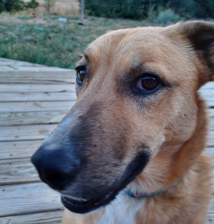 Charlene *The OC* Pyskoty tweet media