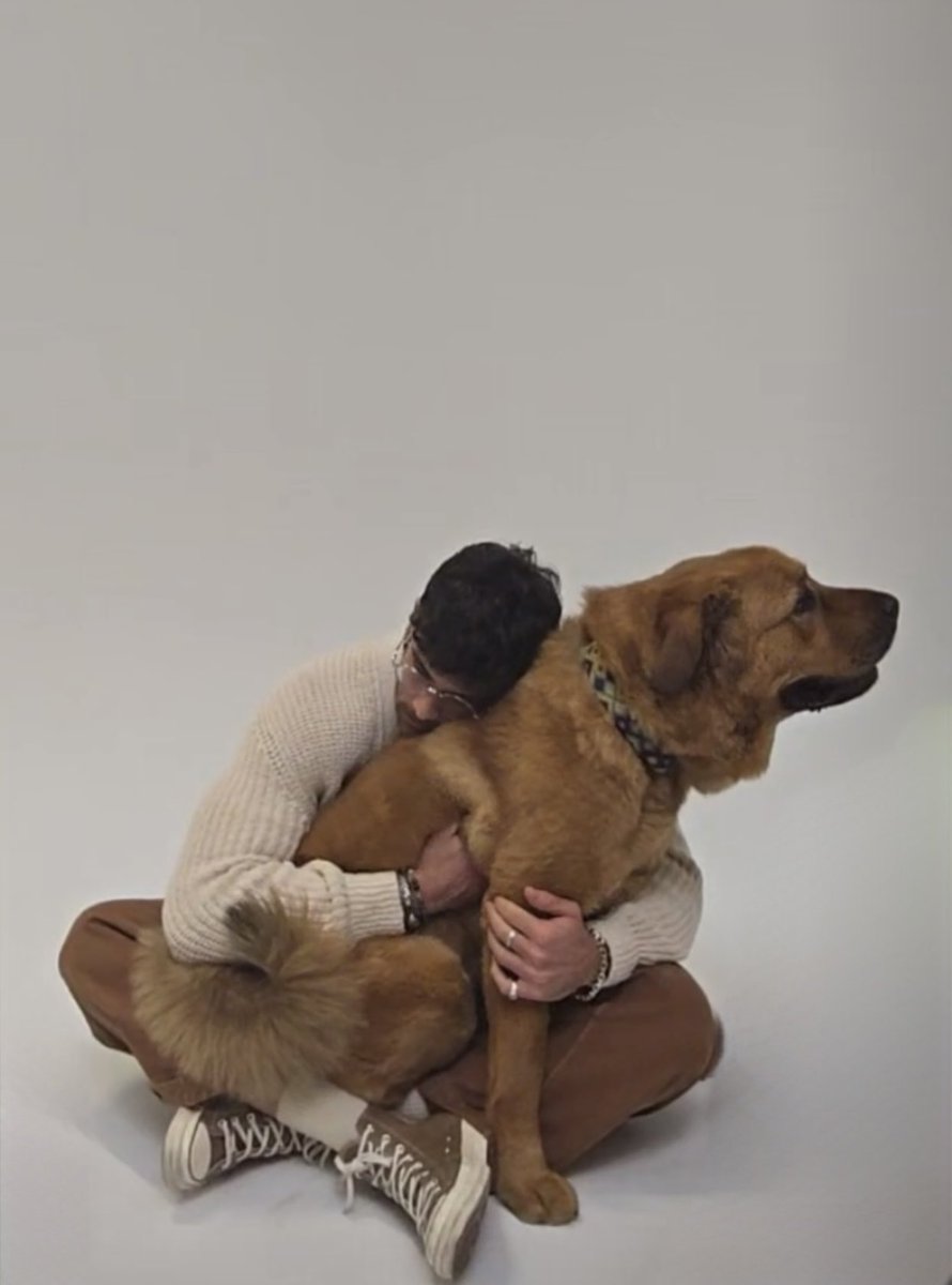 elorditwt's tweet image. #prayforkaya #sterilization #snipsnip