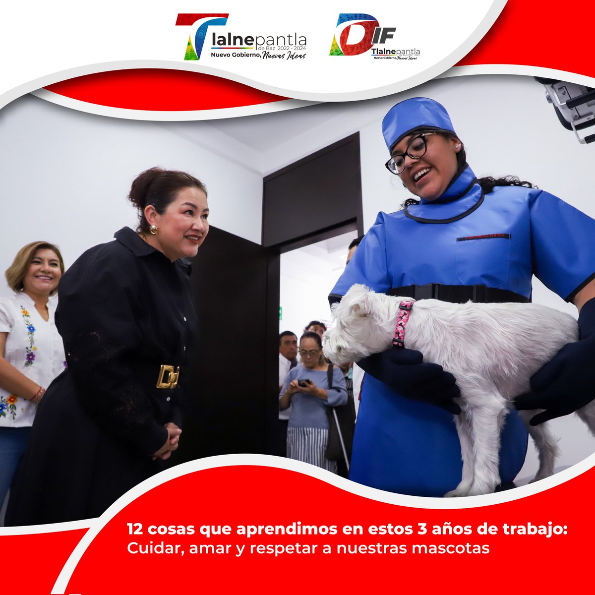 En estos tres años en el DIF Tlalnepantla, trabajamos arduamente para promover el amor y el respeto hacia los animales de compañía. 

¡Juntos hicimos la diferencia!