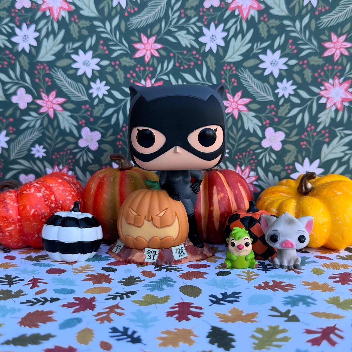 Clawing Her Way To The Number 9 Spot In My End Of Year Top 10 Pops Countdown, It’s Catwoman With Pumpkin! 8 To Go! Xmas Day 23! #CatwomanWithPumpkin #Catwoman #DCComics #FunkoPop #Funko #FunkoPhotoADay #2024FunkoCountdown #Top10PopsOf2024 #Top10Funko2024 #TopPopsOf2024