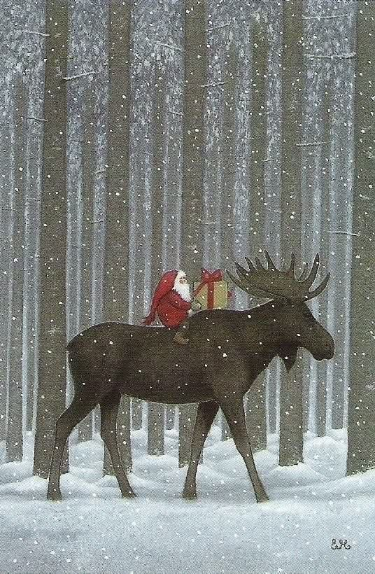 Frogmouth tweet media