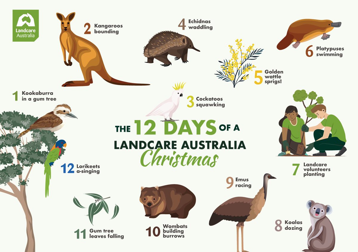 🎄 We hope that you enjoyed the Landcare Australia 12 Days of Christmas! 🎁 A little something for everyone.

✨ All the very best to you and your family for Christmas 🎅, and we look forward to working together in 2025. 🌟