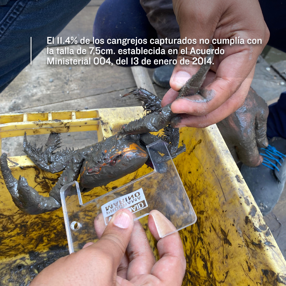 WildAid Latinoamérica tweet media