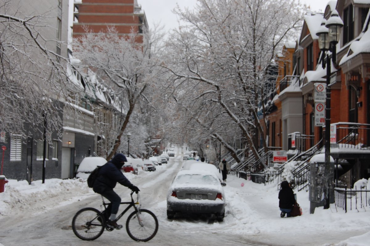 Montreal in the Snow (2009)