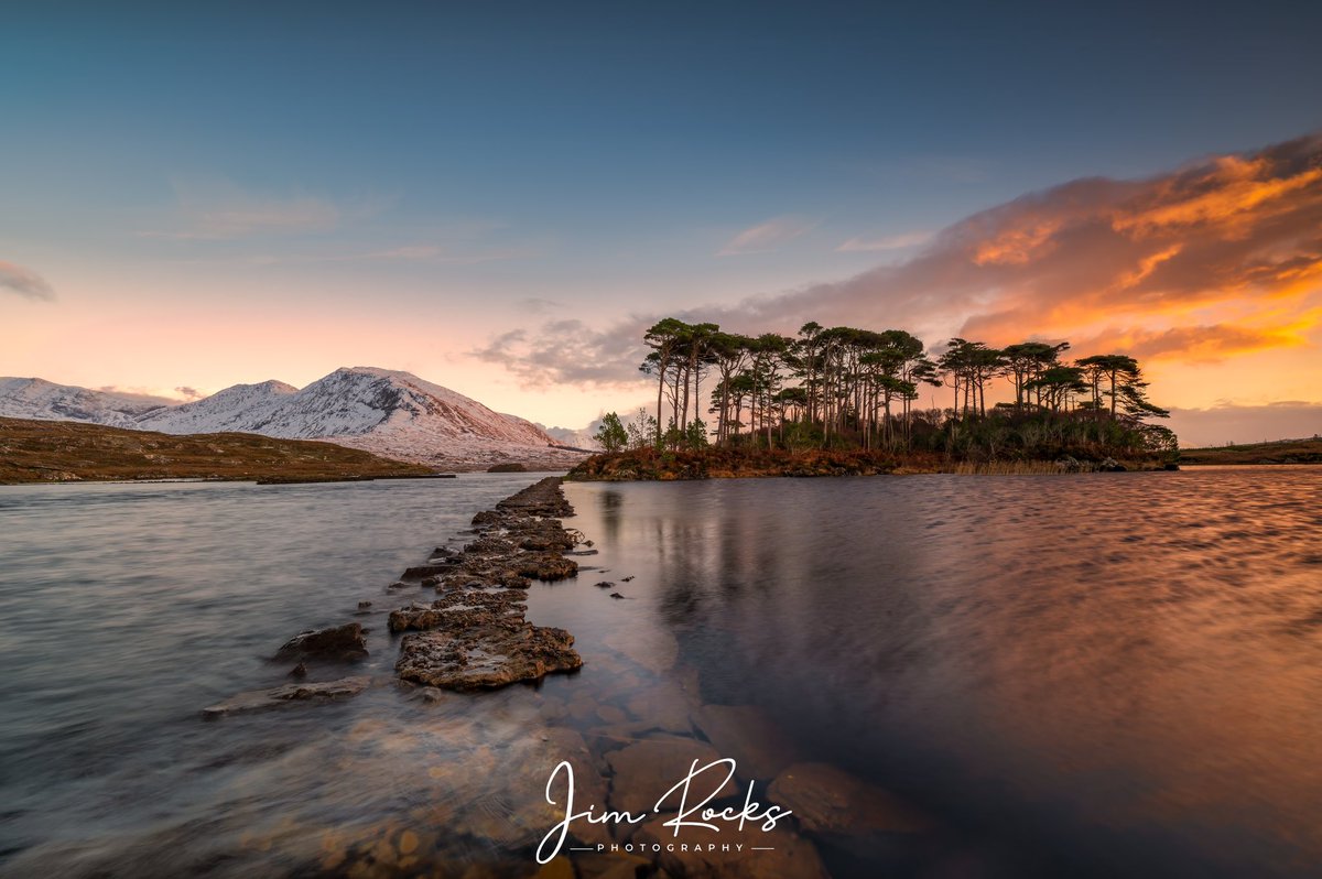 Jim Rocks tweet media