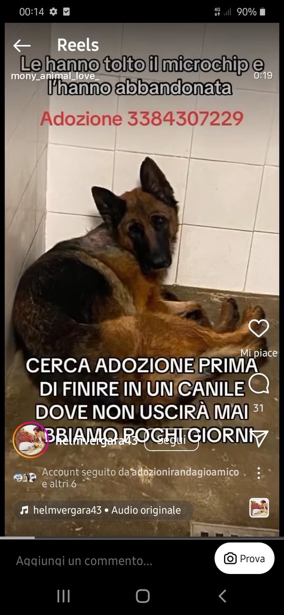 Sara stellina (@sarastellina3) on Twitter photo 