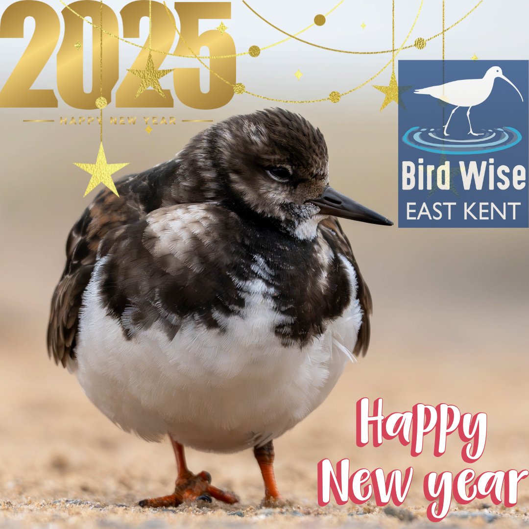 Happy New Year from the Bird Wise East Kent Team! 🎉🦆

Wishing you all a wonderful New Year filled with joy, nature, and amazing wildlife encounters! 🌿 Let’s make 2025 a year to protect and celebrate the incredible birds and habitats that make East Kent so special.#daringdozen