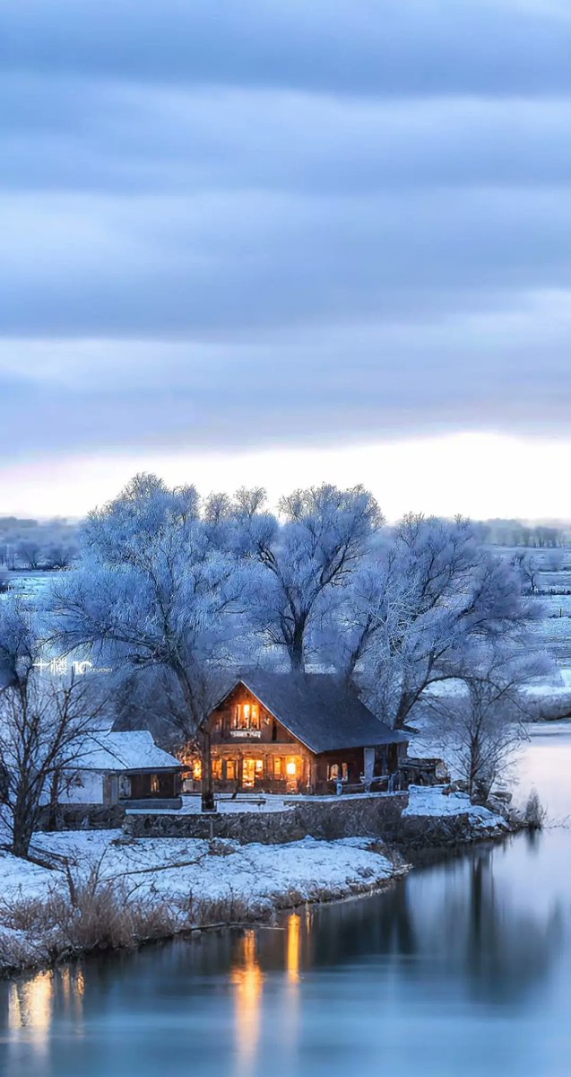 seenbylemontree's tweet image. Morning~
Is There Any Rime More Beautiful Than That of Kanas?