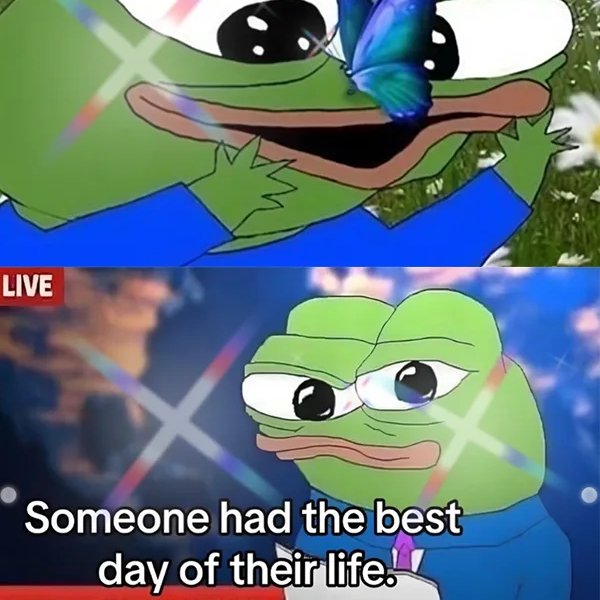 Wow Terrifying (@rikeshk28597982) on Twitter photo 