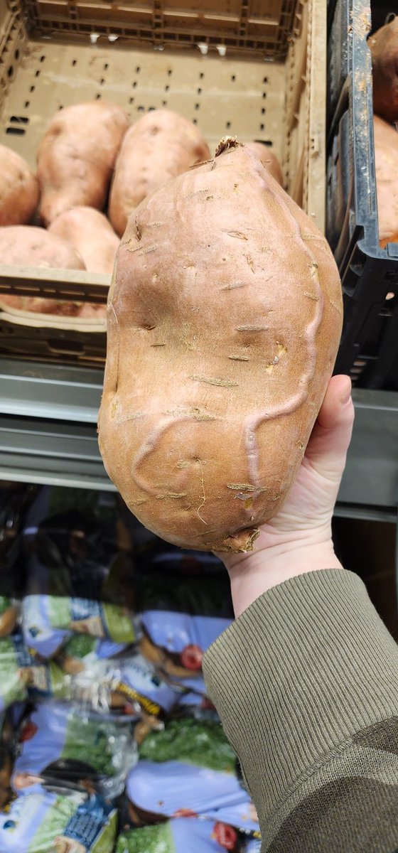 Why are all the sweet potatoes at <a href="/AldiUSA/">ALDI USA</a> enormous and look like ... this? I got one of the smallest ones and it weighs 2 1/2 pounds.