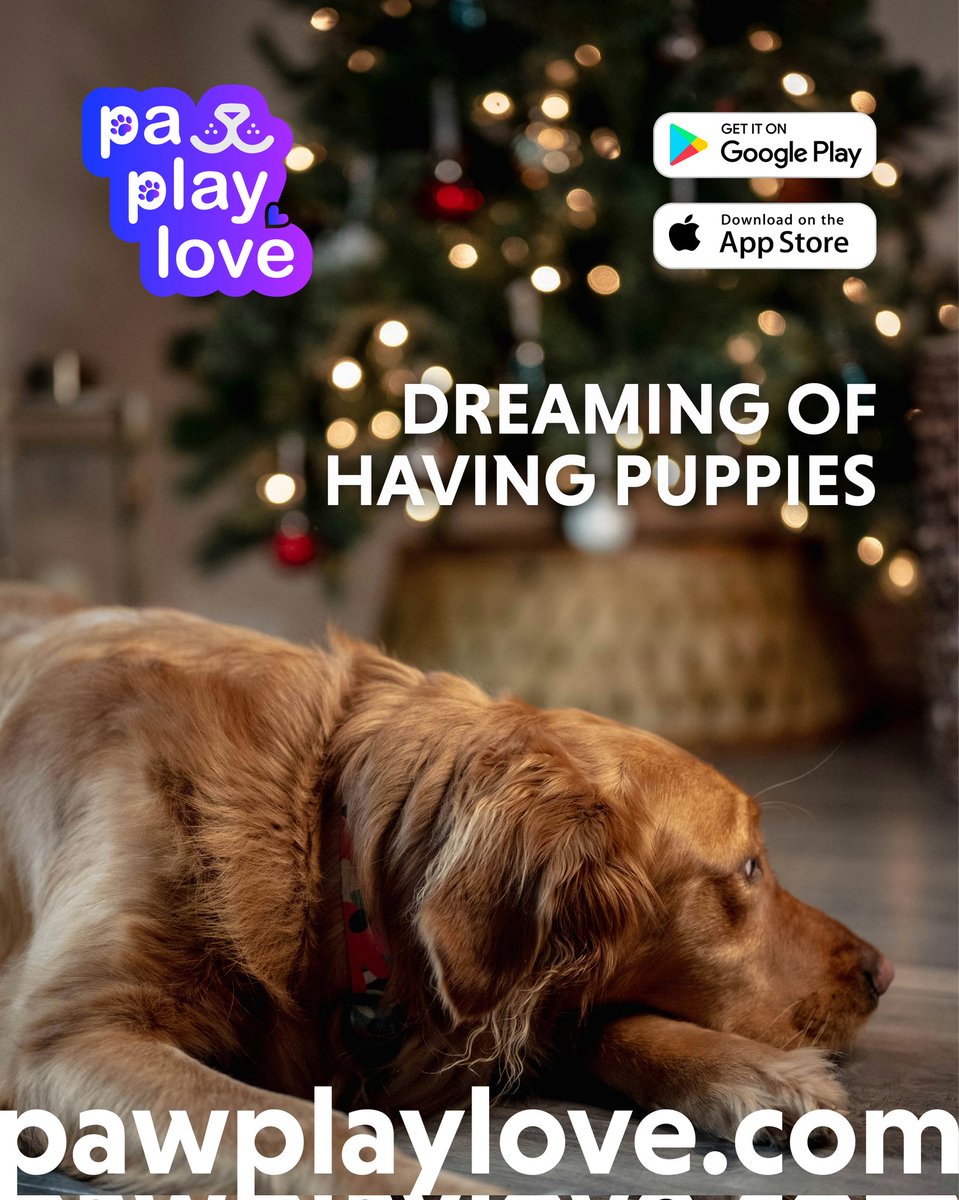 🐾 All this pup wants for Christmas is... puppies! 🎄🐶💕

Find your furry friend the perfect match with Paw Play Love and make this holiday season unforgettable. 🐾

✨ Swipe, connect, and let the magic happen!

🔗 Pawplaylove.com

#PawPlayLove #ChristmasWishes